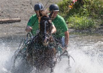 amigo_waleur_eivind_davik_k5w2126