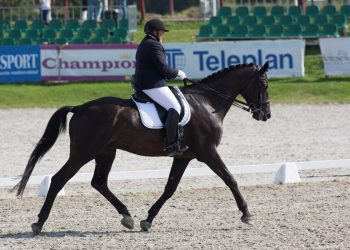 anderz_zand_firfod_tonje_lindqvist_k6a8997