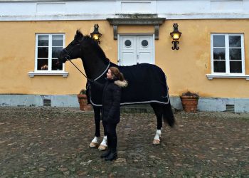 andrea-ghino-flyinge1