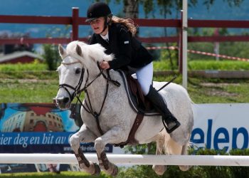andrea_lohndal_odd_one_out_dsc_0565