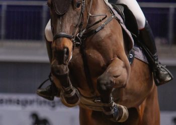 andrea_osland-2_lavopploest