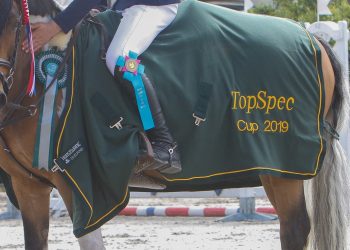 anna_mathilde_buskoven_ballyanchor_jigsaw_1_of_3_1