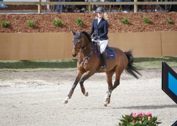 anne_line_roeysi_og_tiesto_du_parsis_z