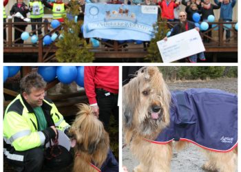 aramis_norgesdyrehelt