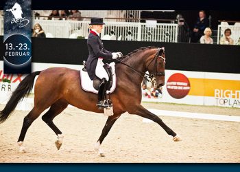 artikkelbilde_siril-helljesen_dorina__foto_christinefagerbakke_dsc4794-copy