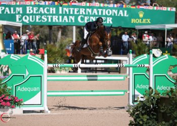 audrey-coulter-and-acorte