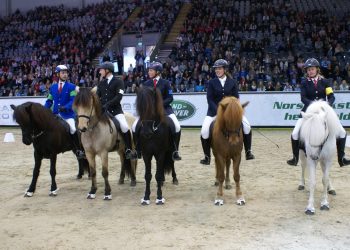 b-finalen_mester_toelt