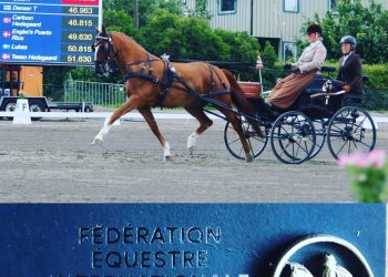 badge_of_honour_wenche