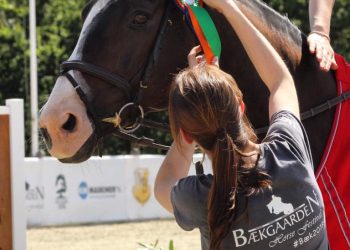 baekgaarden_horse_festival_2019_illustrasjonsbilde