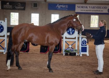 bb_lord_dolcetto_mg_6226