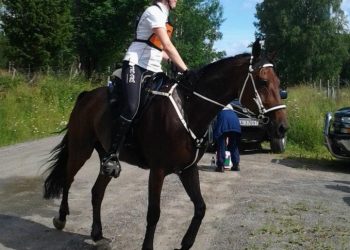 beate