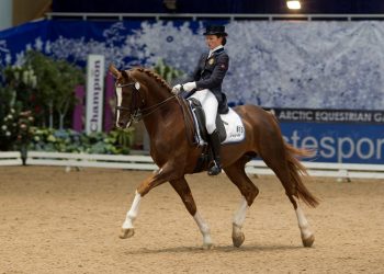 belamour_alexandra_gamlemshaug_andresen_19g1100_1