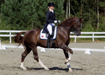 belamour_alexandra_gamlemshaug_andresen_d9d9305