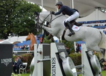 ben-maher-dublin-rankings