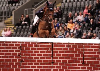 benedikte_endresen_comic-2