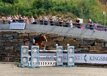 bergen_horse_show_1