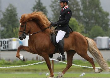 bernt_severinsen_og_tigull_fra_kleiva