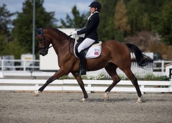 beukenhofs_ricardo_lerke_p_nordum_k5w2350