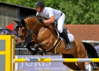 bilder_landliebste_zug_20121
