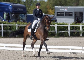 blue_horse_develino_caroline_steine_jensen__k5w3933