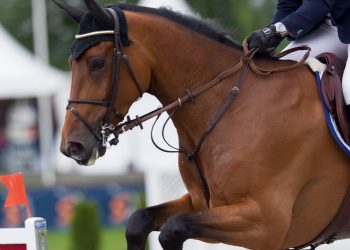blue_thunder_line_raaholt_19g5256