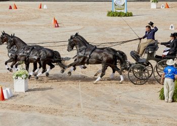 FEI World Equestrian Games™ Tryon USA