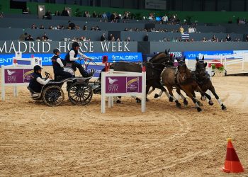 Boyd Exell, (AUS) during CAI-W Trofeo Vitaldent competition at Madrid Horse Week at IFEMA, Madrid - Spain