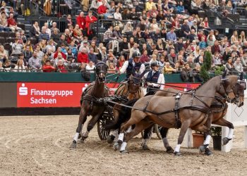 Leipzig - Partner Pferd 2017