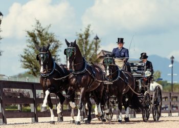 Carriage 1900	Boyd Exell1900A Carlos / 1900B Celviro	/ 1900C Checkmate	/ 1900E Zindgraaf