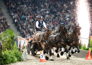 boyd_exell_sihs_copy