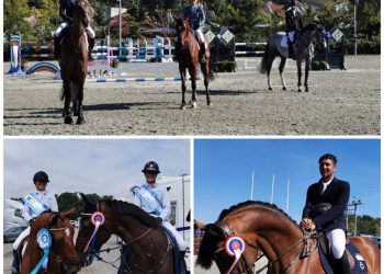 breeders_sprang_2_avd_2020_1