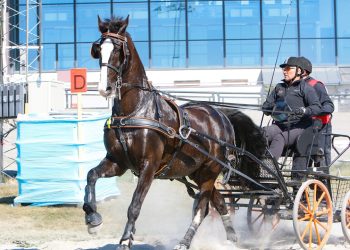 britt_scharfenberg-2