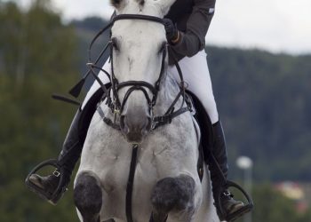 Ridesport