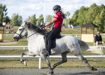 camilla-1000-dsc-4105