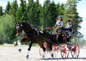 camilla_johnsrud_og_tiger_hedegaard