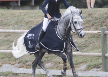 carmen_og_contador_2_1