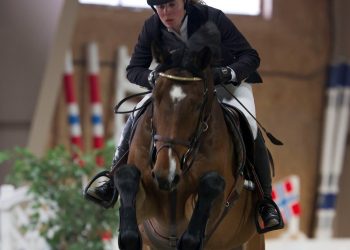 carotino_l_silje_ludvigsen_d9d4333