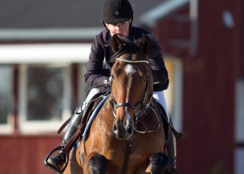 carotino_l_silje_ludvigsen_d9d7393_1