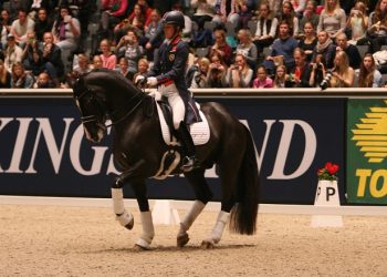 cdujardinvalegro_rmender