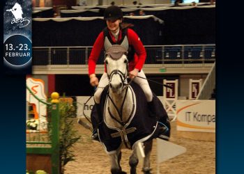 celinesjursenrmcomedyvinnerbilde2-stort