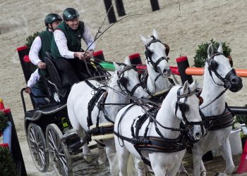 chardon_ijsbrand_ned_20121230_657