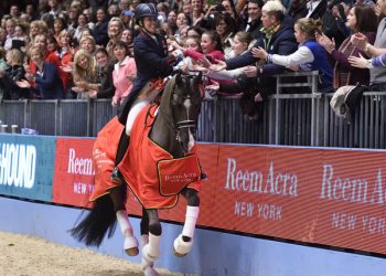 London International Horse Olympia 2014