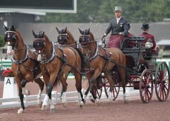 chester_weber_thumbnail_0