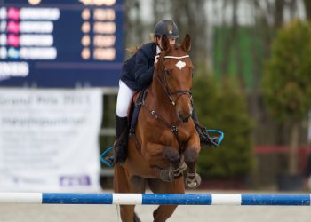 cheval_de_diamond_maria_kristine_aas_19g6228