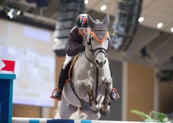 cintia_stein_endresen_k5w5691