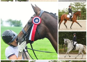 collage_20210708_133644