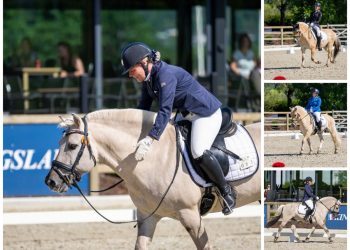 collage_20210709_085135