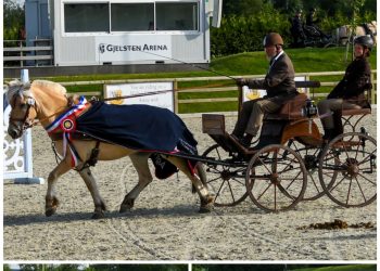 collage_20210709_221610