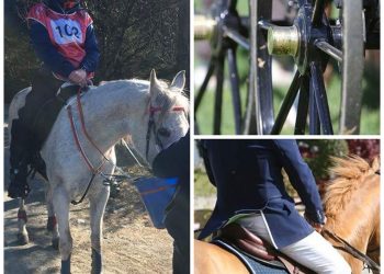 collage_distanse_-_kjoering_-_sprang