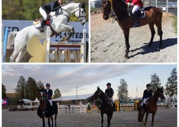 collage_dst_2017_loerdag_andre_helg